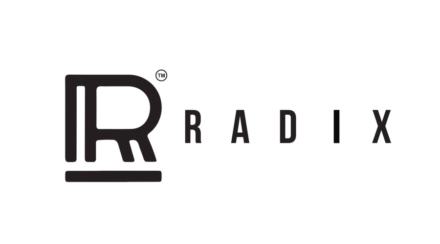 Radix Industries India Ltd Q3 FY2023-24 profit at Rs. 67.43 lakhs